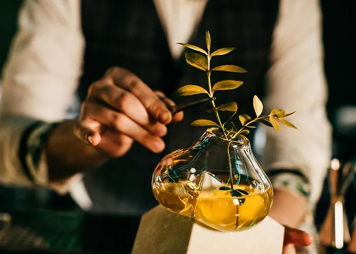 Radisson Blu Carlton Hotel, Hotel Bratislava