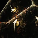 Radisson Blu Carlton Hotel, Hotel Bratislava