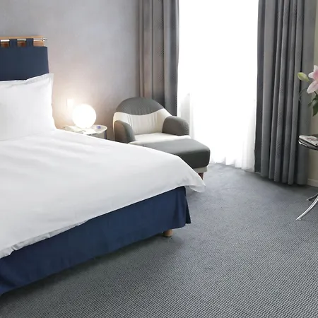 Radisson Blu Carlton Hotel, Hotel