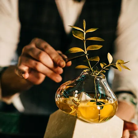 Radisson Blu Carlton Hotel, Hotel Pressburg