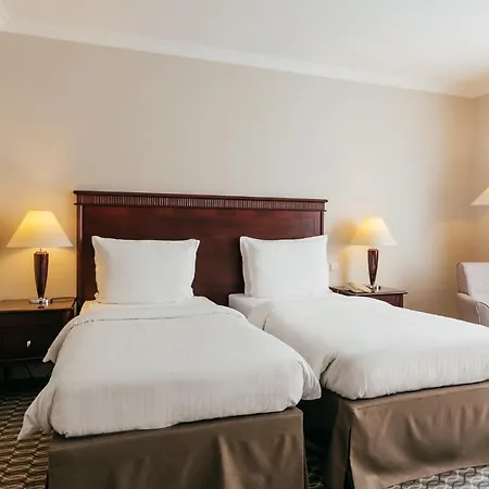 ラディソン ブルー カールトン 4*