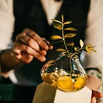 ラディソン ブルー カールトン ホテル ブラチスラヴァ