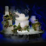 ラディソン ブルー カールトン ホテル ブラチスラヴァ